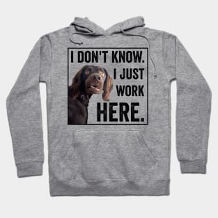 I Dont Know I Just Work Here Funny Confused Dog Meme Hoodie